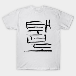 Tae Kwon Do (Korean) T-Shirt